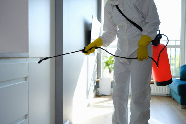 Best Mold Testing  in Chatmoss, VA