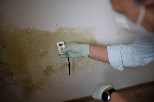 Best Emergency Mold Removal  in Chatmoss, VA