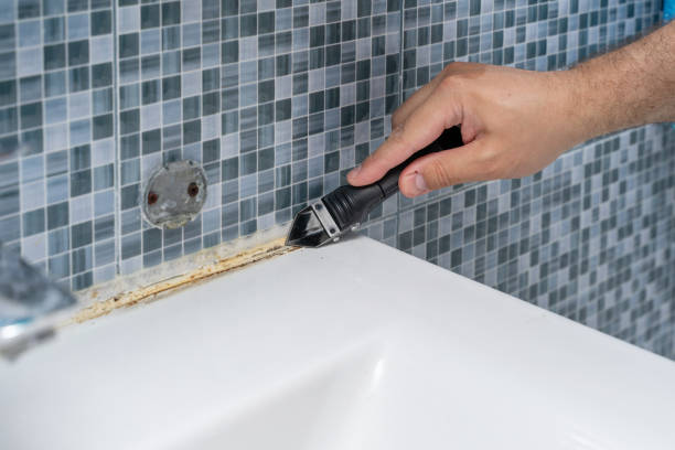 Best Mold Removal Near Me  in Chatmoss, VA